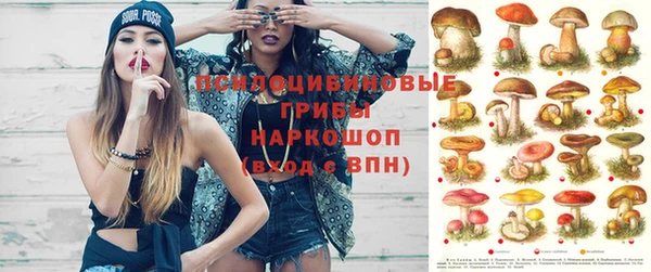 спайс Надым