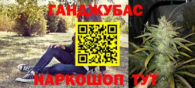 Альфа ПВП Волгодонск