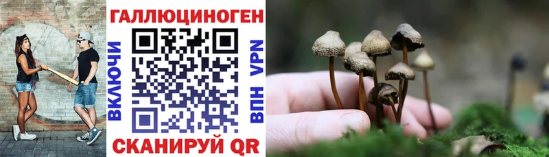 Галлюциногенные грибы Psilocybine cubensis  кракен   Кандалакша 