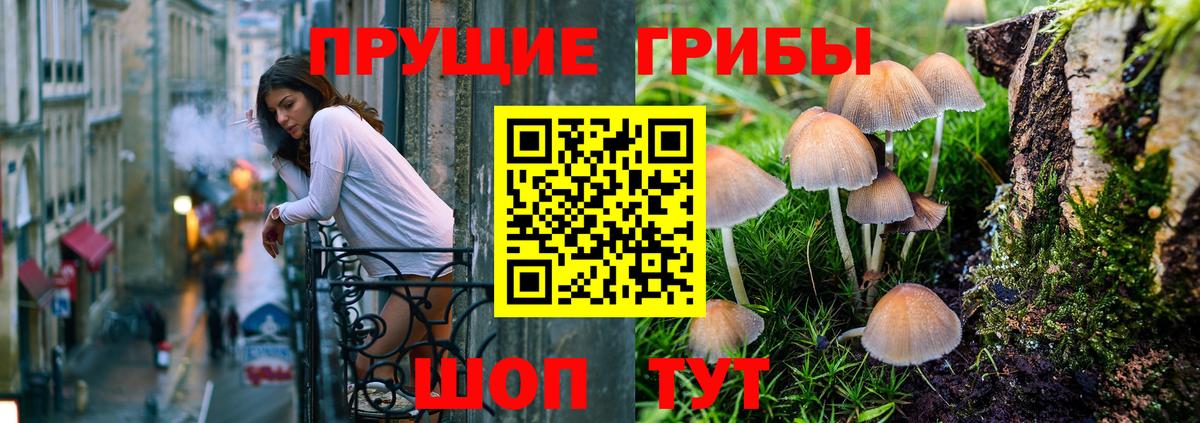 Кандалакша  Псилоцибиновые грибы GOLDEN TEACHER  Вход с VPN 